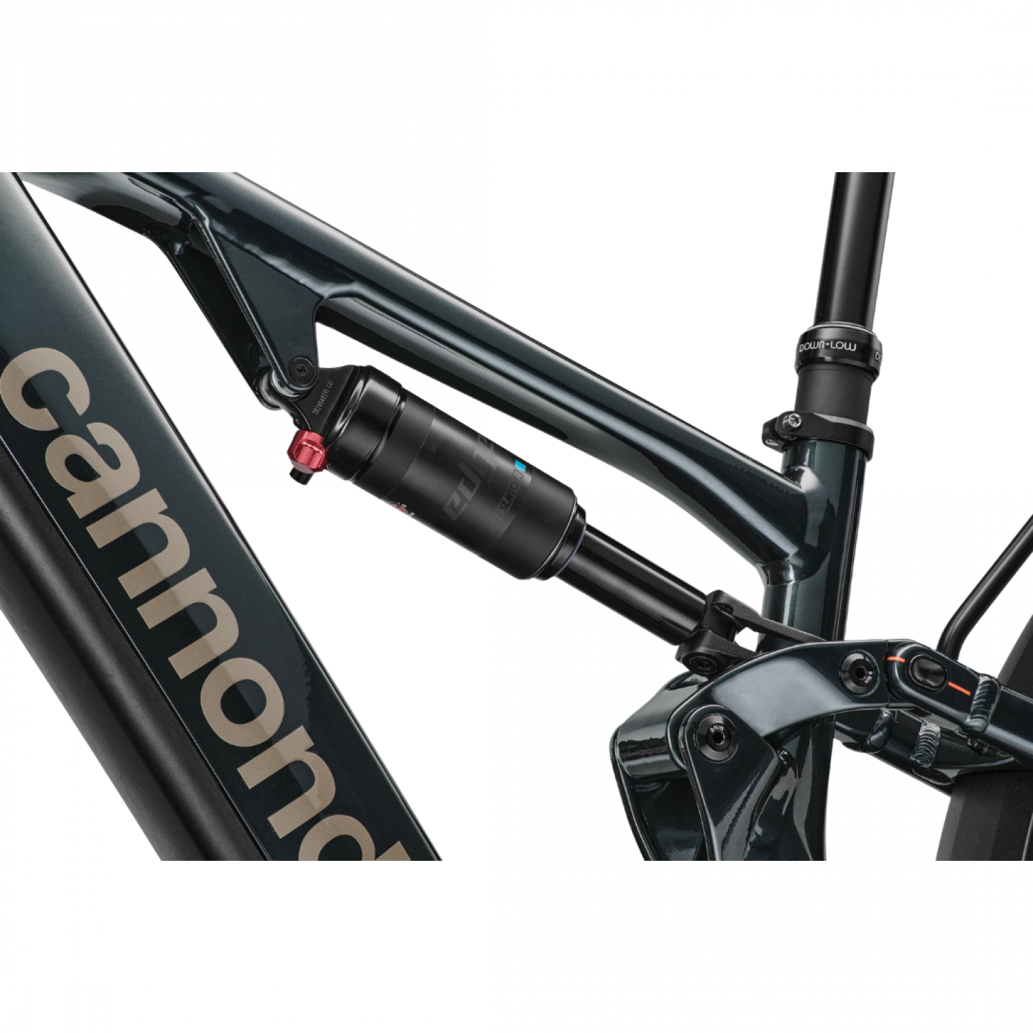 Cannondale Moterra EQ - Blu