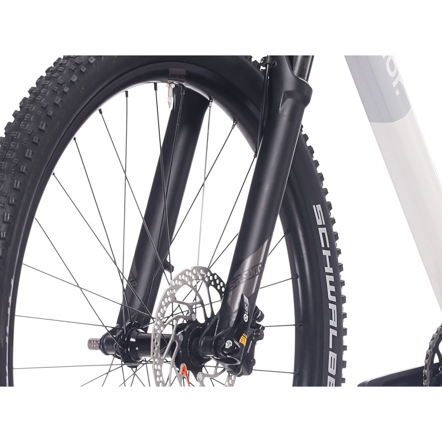 XP 6.1 29'er GLOSS GREY