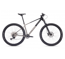 XP 6.1 29'er GLOSS BRUSH ALU/BLACK