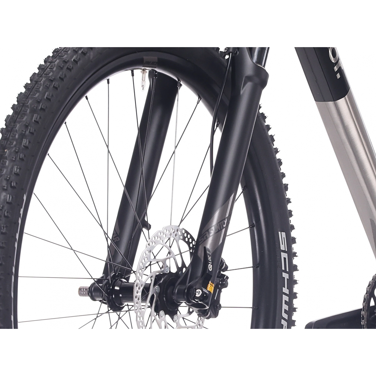 XP 6.1 29'er GLOSS BRUSH ALU/BLACK